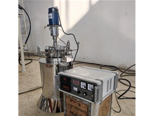 0.5L高温高压不锈钢电加热反应釜已完工发往捷克