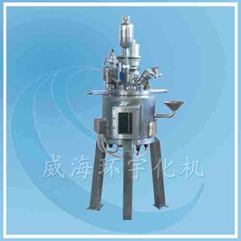 北京Visible Glass Reactor