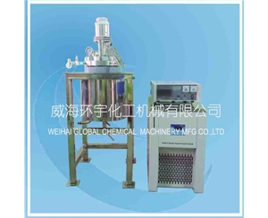 北京5L Stainless Steel Reactor