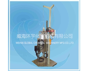 北京40L Lifting Reactor