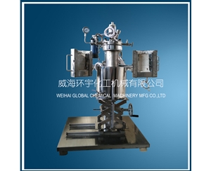 北京2L Lifting  Reactor with Quick Open Device