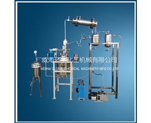 北京10L Customized Reactor System