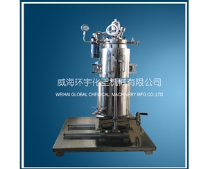 北京2L Lifting Reactor