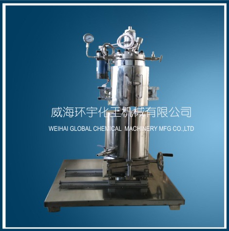 北京2L Lifting Reactor