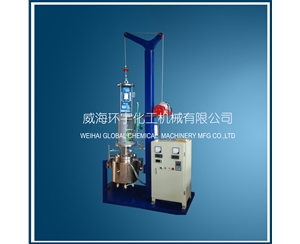 北京5L Stainless Steel Lifting Reactor