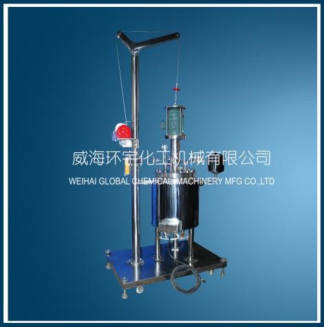 北京30L Lifting Reactor