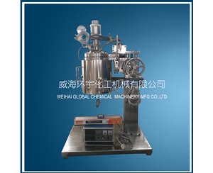 北京5L Lifting Reactor with Quick Open Device