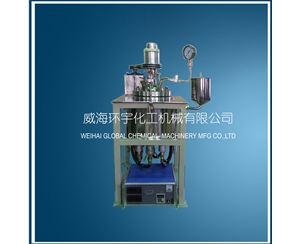 北京5L Hydrogenation Reactor with Explosion proof Motor