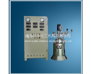 北京Lab High Pressure Reactor with PID Controller