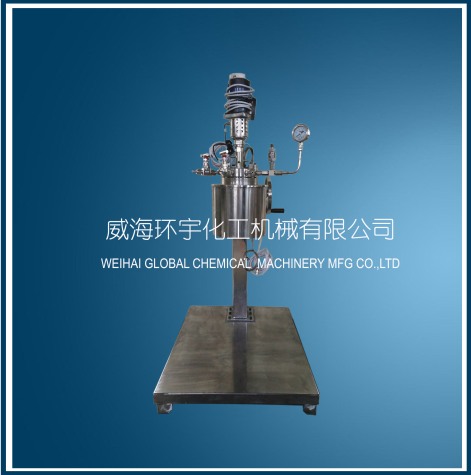 北京5L Lifting Reactor