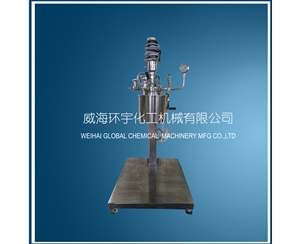 北京5L Lifting Reactor