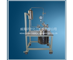 北京Stainless Steel High Pressure Reactor with Feeding Tank