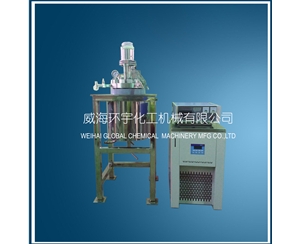 北京5L high pressure low temperature reactor