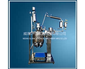 北京5L Vacuum Distillation Reactor with Lifting Device