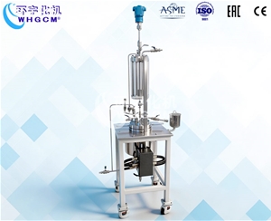 北京1L导热油电加热不锈钢反应釜